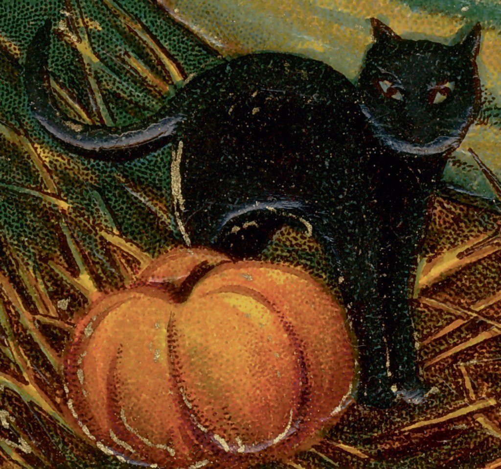 Pumpkin Spice and Everything&nbsp;Nice